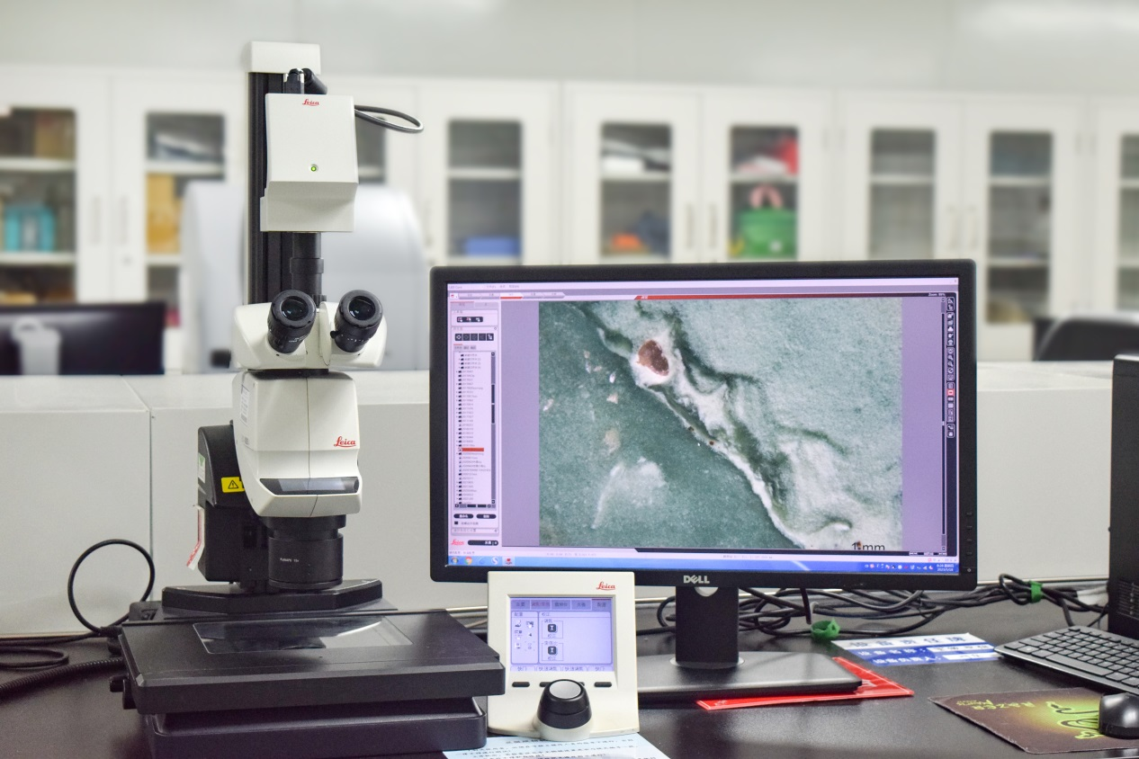 澳门彩票有限公司